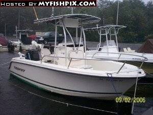 Sea_Toad1[1].jpg