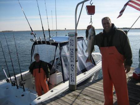 striper.jpg