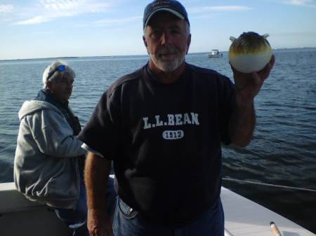 Griff164 Blowfish.jpg