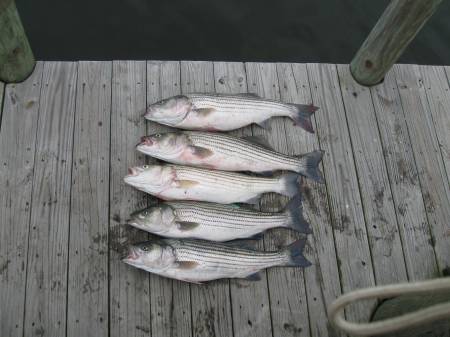 IMG_0382.JPG