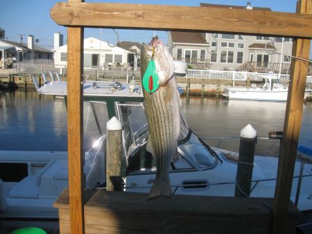 IMG_1060.JPG